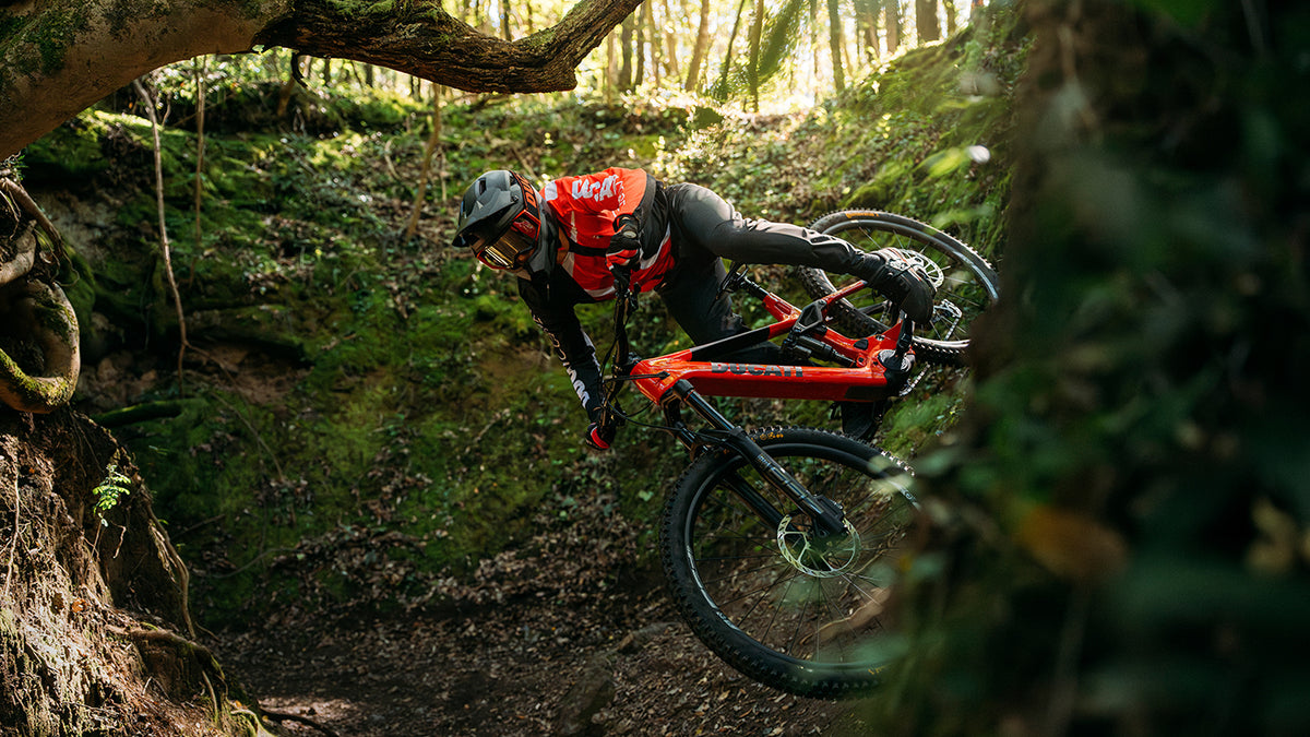 DUCATI_MTB-DM160_PLP-Editoriale_Collage-img1_1382x777_Desk