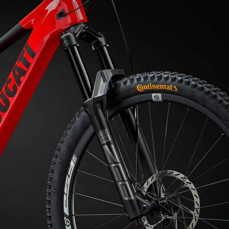 DUCATI_MTB-DM160_Pin_02-forcella_1402x1402_Desk